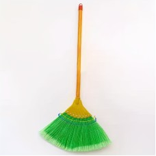 Шүүр /олон өнгийн иш салдаг/